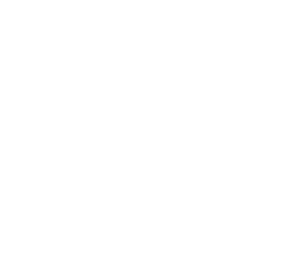 Florida Insurance